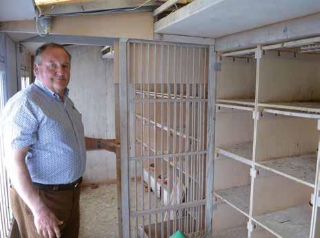 Dirk shows the two breeding sections in the hen s loft. which Dirk installs a small aviary. That way the hens become acquainted with the resting section and quickly grow accustomed to it.