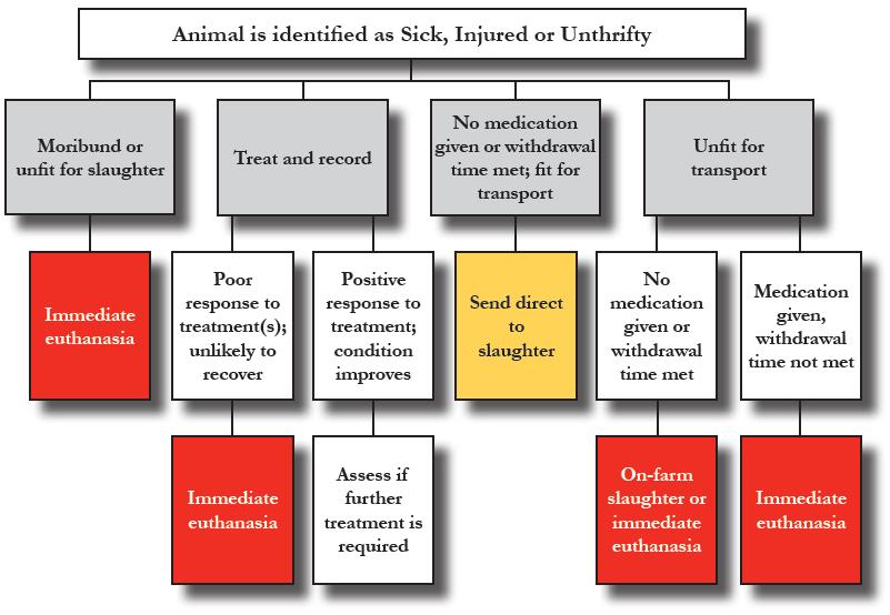 Appendix H: Sample Euthanasia Decision Tree Examples of questions to guide decision-making on whether to treat or euthanize an animal: will the animal endure a painful and lengthy recovery?