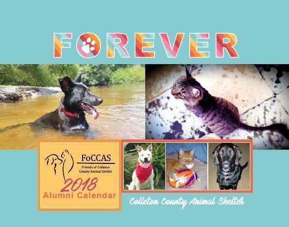 ie=utf8&cid=a29f 24PPS9TNH1 Use Amazon Smiles for ALL your purchases this season and FoCCAS receives a portion of your purchase. 2018 FoCCAS/CCAS Alumni Calendars on sale now!
