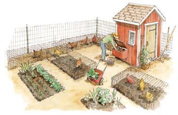 Chickens in the Garden You can incorporate your birds into your garden using wire tunnels,