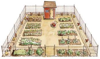 52 Chickens in the Garden This well-designed garden plan makes it easy to put chickens to