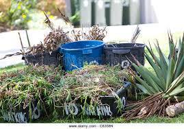 fertilizer to take care of your entire vegetable garden and yard for the year.