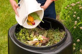 ) Poultry manure contains all 13 of the essential plant nutrients that are used by plants.