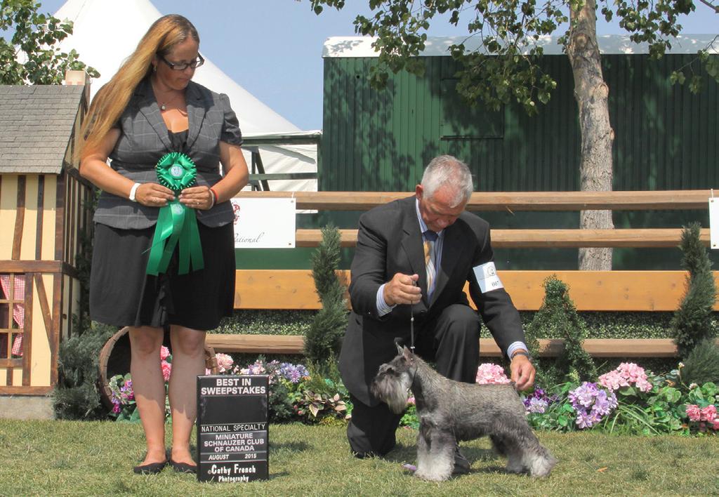 Fast forward to Sunday, the day of the Specialty. Weather once again co-operated. Sherri started with the Puppy Sweeps. Winner was Ch. Maiha Dreamaker Trying Best In Sweeps: Ch.