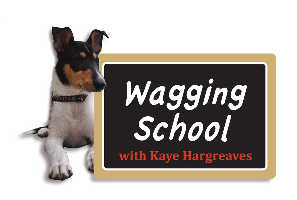 For more info Call KAYE (03) 9489 5095 0477 975 012 2015 Wagging School Dog Training and Behaviour Skills Program Dog and behaviour skills: program overview - offering you the