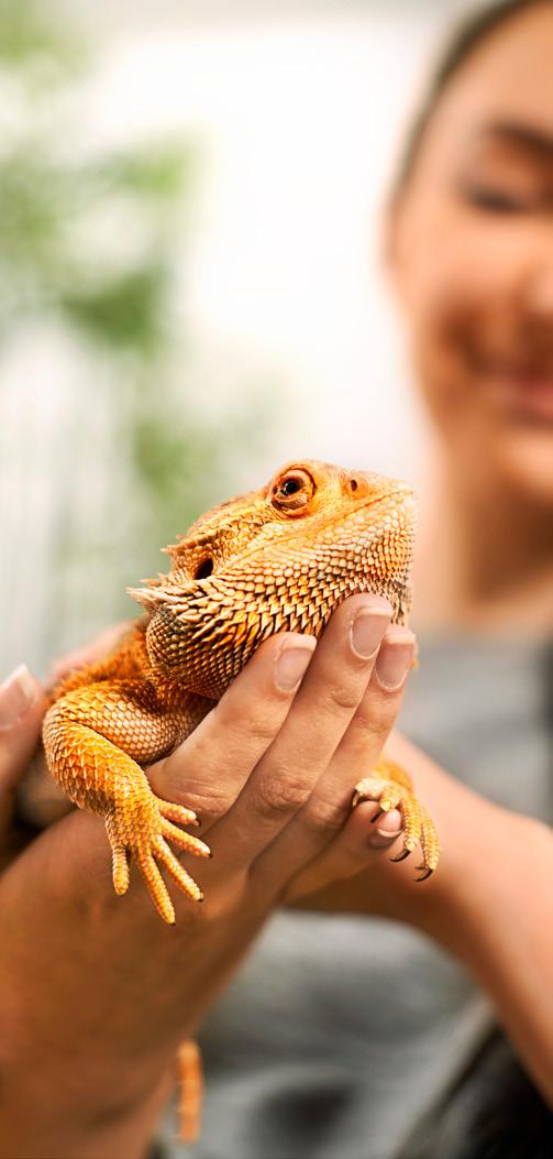reptile parent YOUR GUIDE TO COMPLETE CARE We ll help you navigate the exciting journey into living with a pet