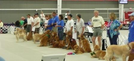 Page 3 The Golden Nationals at Purina