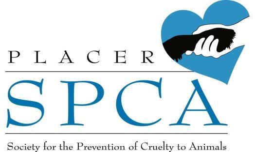 Job Announcement Shelter Medicine and Clinic Veterinarian Full time and Part time The Placer SPCA is a well-respected and growing organization now seeking a Shelter Medicine Veterinarian who will be