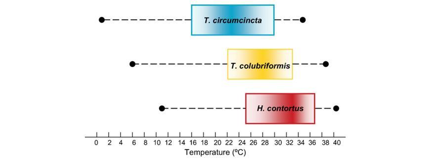 2.6.1 Temperature Different climates have caused evolutionary differences between nematode species found throughout the world. T. circumcincta can develop at lower temperatures than T.