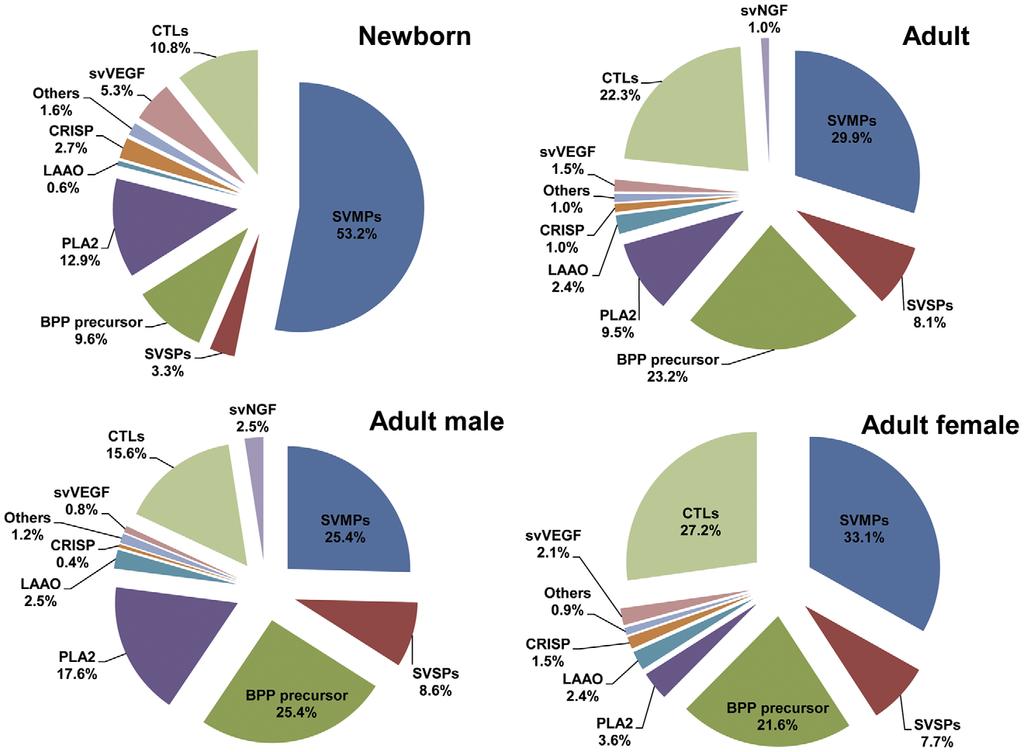 SVMPs were the most abundant toxin transcripts and showed considerable content differences between newborn (53.2%) and adult (29.9%) cdna libraries (Figure 1).