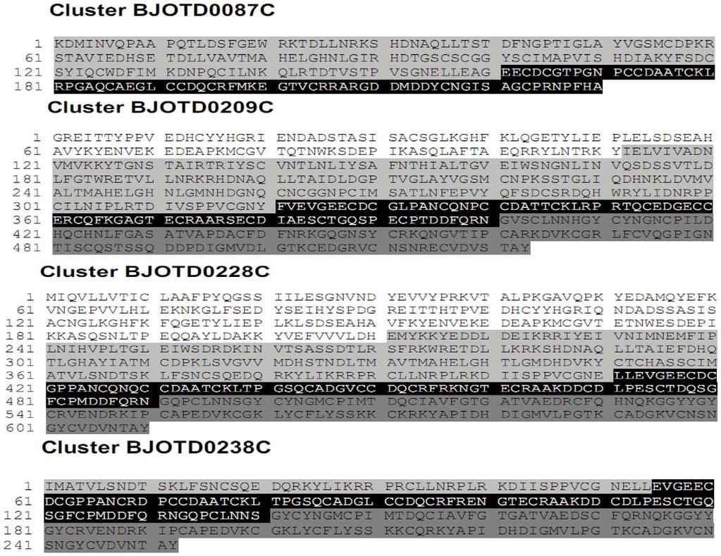 Figure 3. Exclusive SVMP clusters from newborn and adult venom gland cdna libraries.