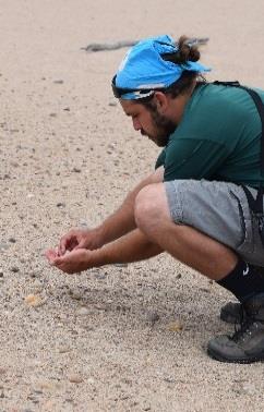 When visibility was low due to vegetation or because the substrate was similar in size and shape to the eggs, then the distance between technicians was decreased. Crew member inspecting eggs Figure 8.