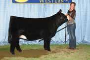 He is a son of the immortal Steel Force and our donor cow HSF Baby Doll W959. In her short career, she has produced $200,000 in embryo and progeny sales.