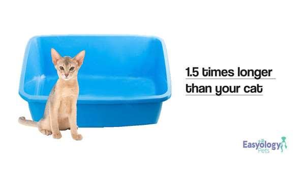 In Search of the Best Litter Box Let s get real for a moment here. It s your cat using the litter box, but you re the one deciding what sort of box your cat will use.