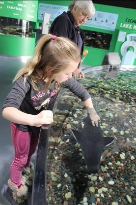 More Exploring Downstairs: In the Unsalted Seas exhibit, there is a touch tank where I can touch fish called