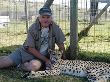 Hand-reared cheetahs find security and comfort in having positive and stable bonds with people.