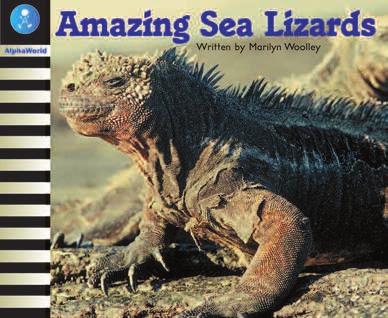 Amazing Sea Lizards Topic: Reptiles/ Animal Kingdom/ Sea Curriculum link: Natural Science Text type: Report Reading level: 15 Word count: 317 Vocabulary: burrow, coastline, Galapagos, hatch, islands,