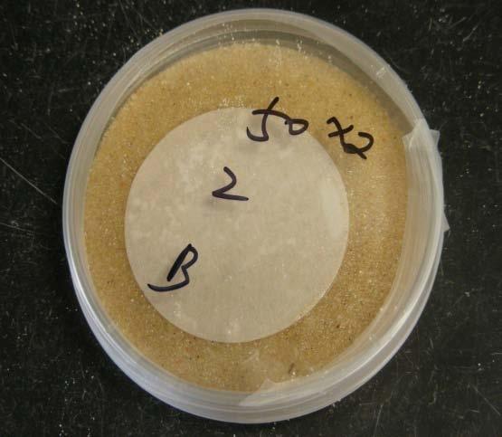 Fig. 2.1. A seled Petri dish (left) nd the storge drwer (right).