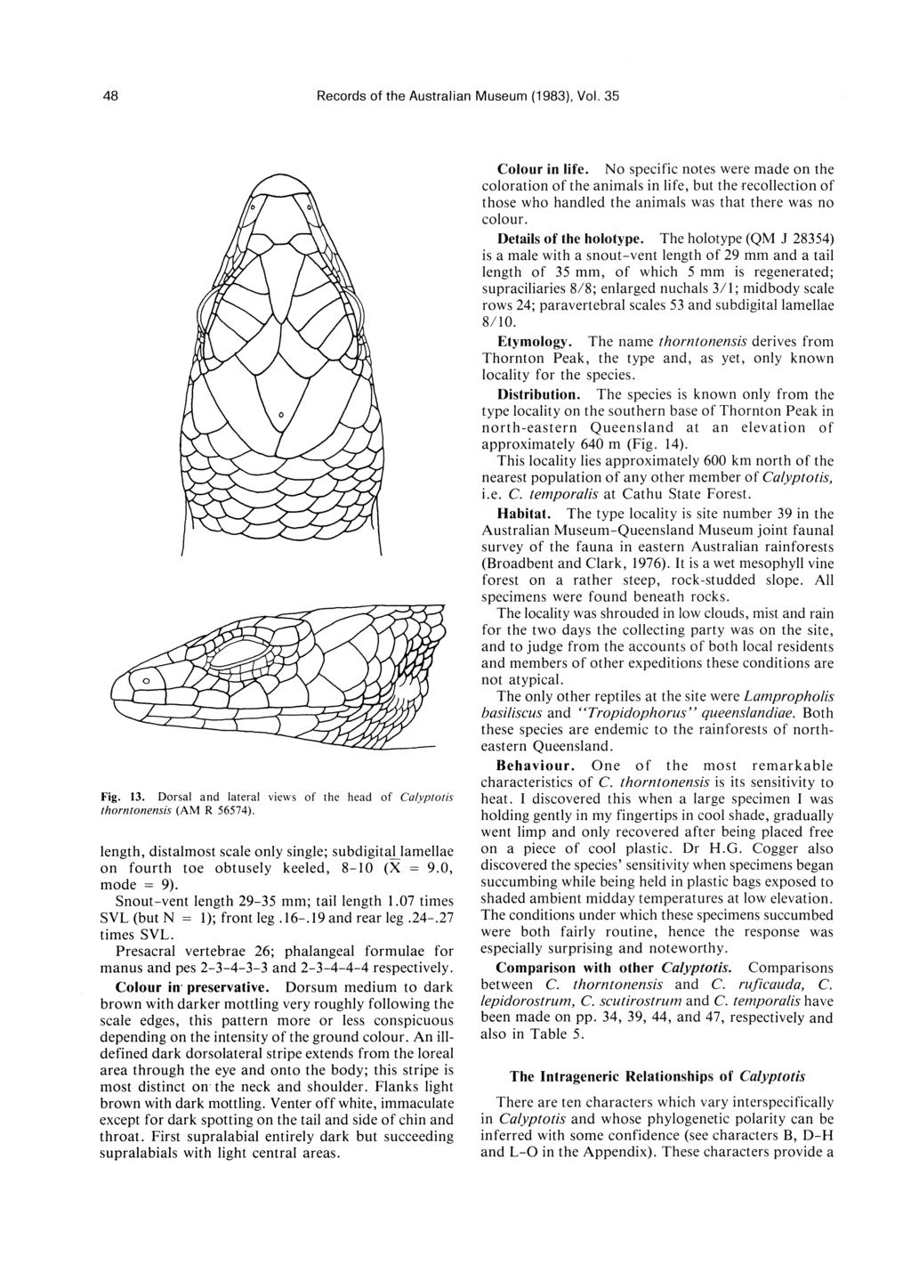 48 Records of the Australian Museum (1983), Vo!. 35 Fig. 13. Dorsal and lateral views of the head of Ca/yptoris thorntonensis (AM R 56574).