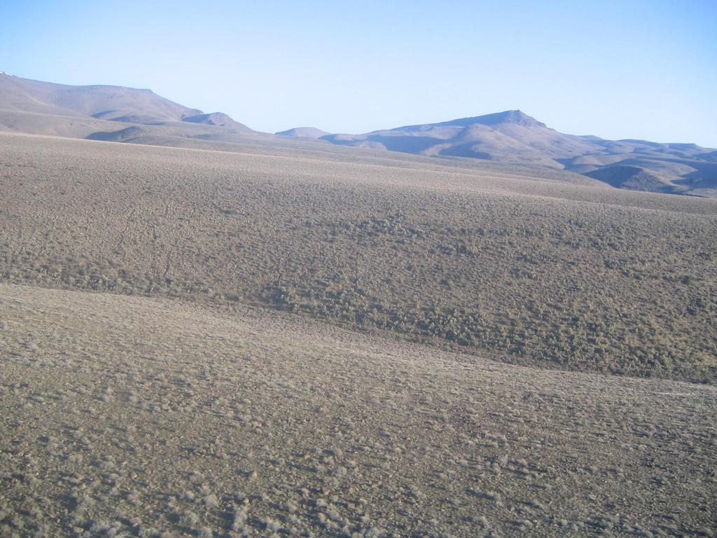 The Habitat Sage-grouse are a true landscape scale species requiring vast areas to carry out life history needs.