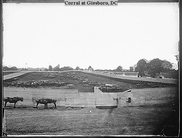 Giesboro Point Cavalry