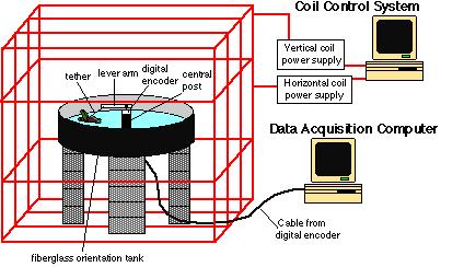 Figure 3. This is a diagram of the experimental set-up. It shows the computer control and monitoring system, the aquatic arena, and the surrounding coil system.