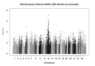 Genome Wide Association Study GWAS Example DNA Change in MAC Immune