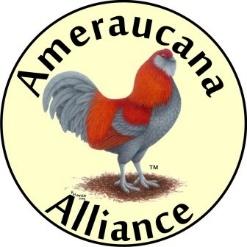 org Ameraucana Alliance Club Meet With 3 or more bantam exhibitors in the Open Show we offer a Best of Breed Ribbon.