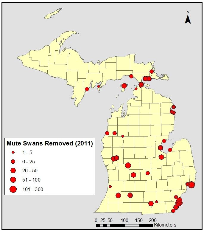 Figure 5. Locations where Mute Swans were removed by WS in 2011. 1.