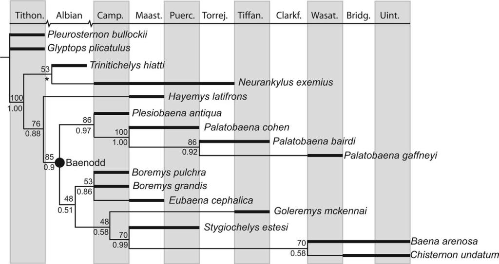 466 JOURNAL OF PALEONTOLOGY, V. 83, NO. 3, 2009 FIGURE 7 Baenidae cladogram mapped against the stratigraphic range from which each taxon has been reported (bold lines).