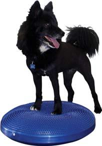 Core strength is a fundamental element used by your dog to control its body when jumping, turning, and/or running.