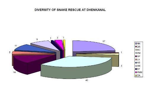 Figure 8: Diversity of snake