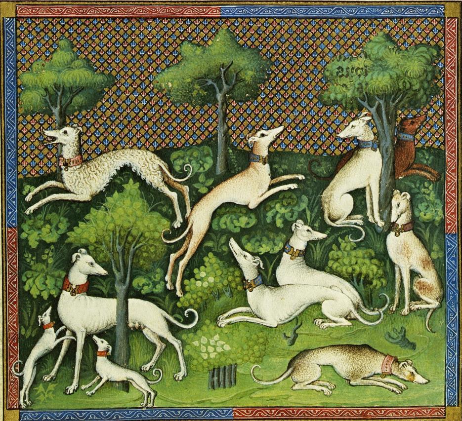 But In Gaston Phebus hunting book, the Livre de Chasse (1388), we can find detailed