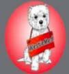 WestieMed News Page 7 WestieMed Fundraising Auction Sept 15, 2017 Sept 17, 2017 It is through direct donations and fundraising activities like our WestieMed Fundraising Auction that we are able to