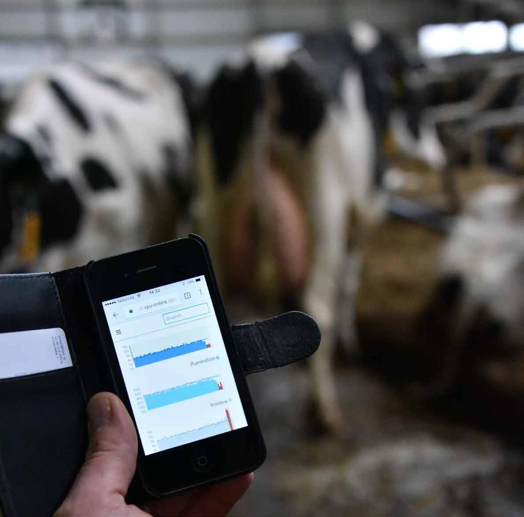 How the system works 1 The Alta Cow Watch Smarttag records the behavior and movements of the