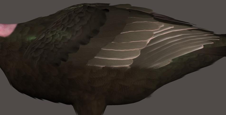 SquareEnds- Makes Tail feathers have square ends.