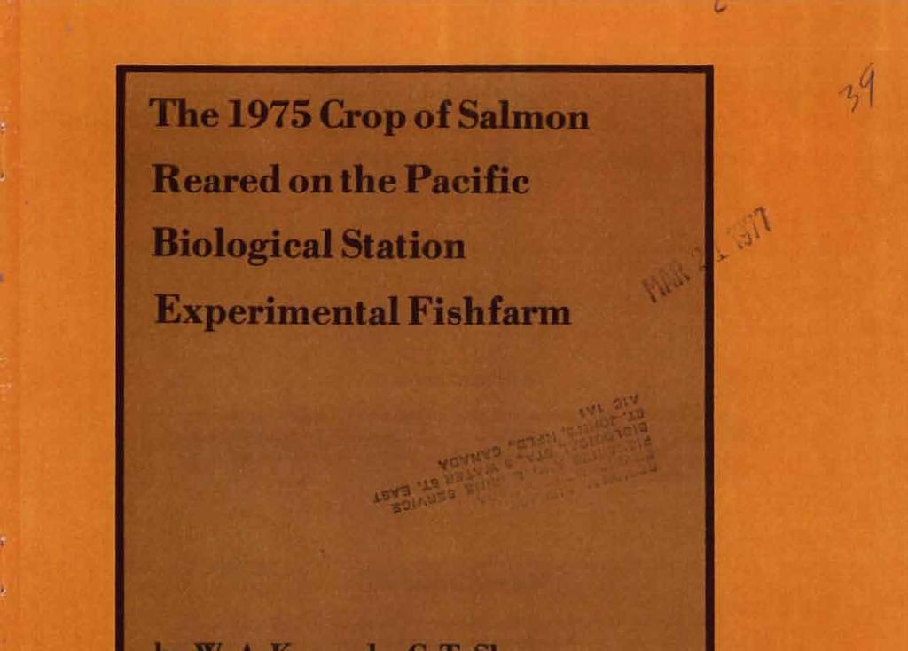 The1975~pfSabnn Reared n the Pacific Bilgical Statin Experimental Fishfarm by w. A.