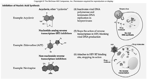 Antiviral drug structures and their mode of action (cont.