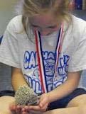 Liability for classroom pets Issues with Classroom Pets American Humane