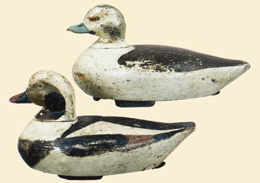 75(PR) 76(PR) 75. Rigmate pair of oldsquaws (long tail duck). Excellent rendition of this perky little sea duck. Found in Connecticut after being in storage since 1946.