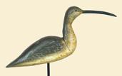 100-200 364. Curlew by Lloyd Tyler of Crisfield, MD. Painted wing feather and head detail. Two piece head and body construction.