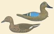 The first is a tiny blue-winged teal hen from Louisiana with painted eyes in XOC. The second is a pintail hen with Vinson carved into bottom. Bill has been broken and glued. Never rigged. 100-200 386.