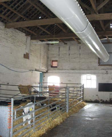 respiratory and other diseases. While fresh air is essential, draughts at calf level should be avoided. The use of large volume or generalpurpose buildings for calves is not recommended.