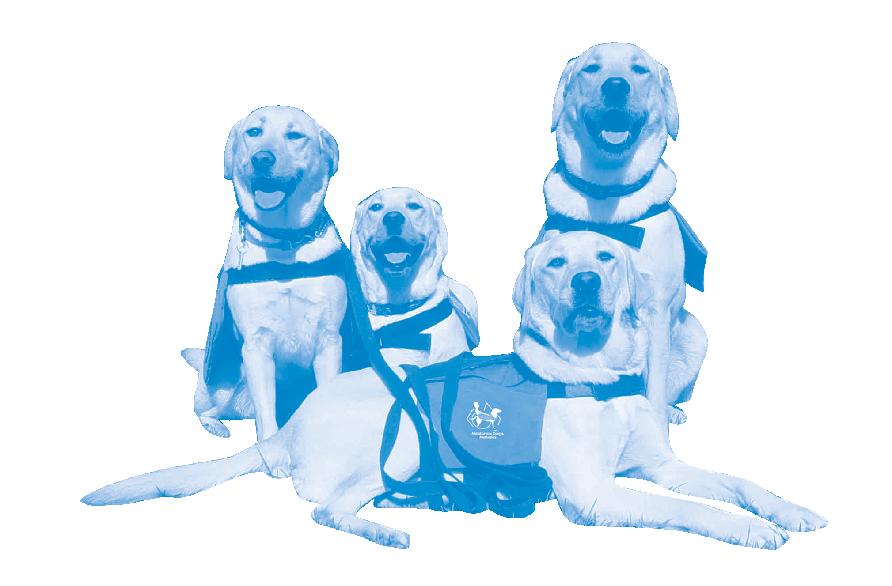 assistancedogs.org.