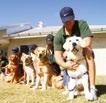 Entered WA prison with first intake of puppies