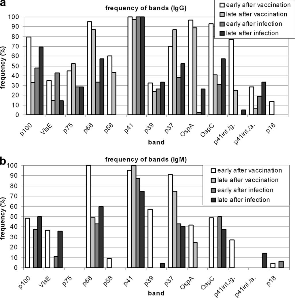 All mean band intensities increased after each consecutive vaccination or infection; only the IgG p58 and p18 bands were seen solely after vaccination.