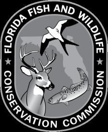 Marine Turtle Personnel Amendment Florida Fish and Wildlife Conservation Commission Imperiled Species Management Section Tequesta Field Laboratory 19100 SE Federal Highway Tequesta, Florida 33469