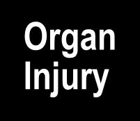 Organ Injury Antiinflammatory (endogenous) Time