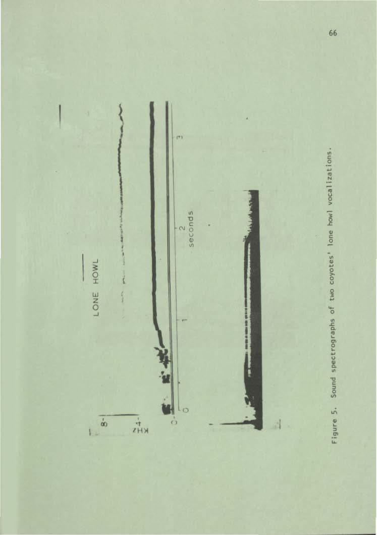 Jackson Hole Research Station Annual Report, Vol. 1974 [1974], Art. 12 66 ~ f,., > ll { :., c i tn l ' J., "' ~ " >- ::c l w ~. z.