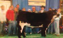 279117_Layout 1 11/10/15 9:08 AM Page 9 19 Kendale 005 ET DOB: 3-2010 Direct Hit Smokem Bred to calve March 22,2016 to GOET I80 Full sib to the 2004 Reserve Grand Steer at the NAILE!